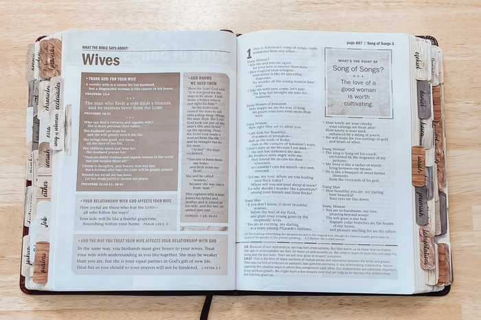 BABE Bible Tabs
