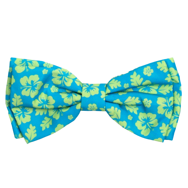 ALOHA-TURQUOISE-DOG-BOW-TIE
