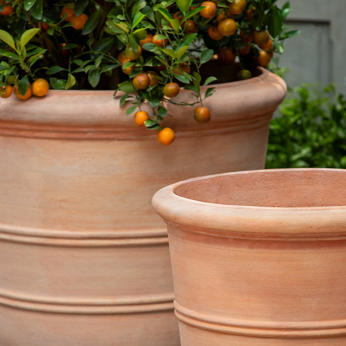 Classic Orangerie Planter || Terra Cotta