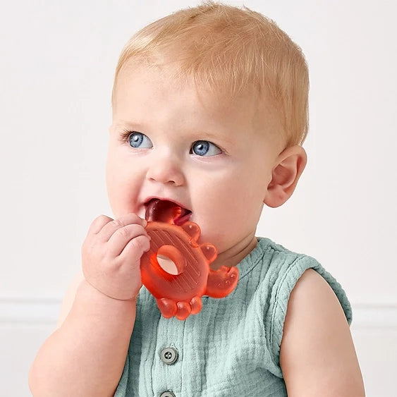 Itzy Ritzy Cutie Coolers Water Filled Teethers - Nautical