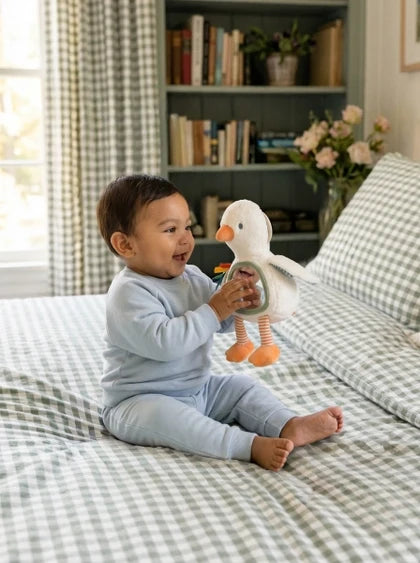 Itzy Ritzy Itzy Bitzy Mirror - Goose