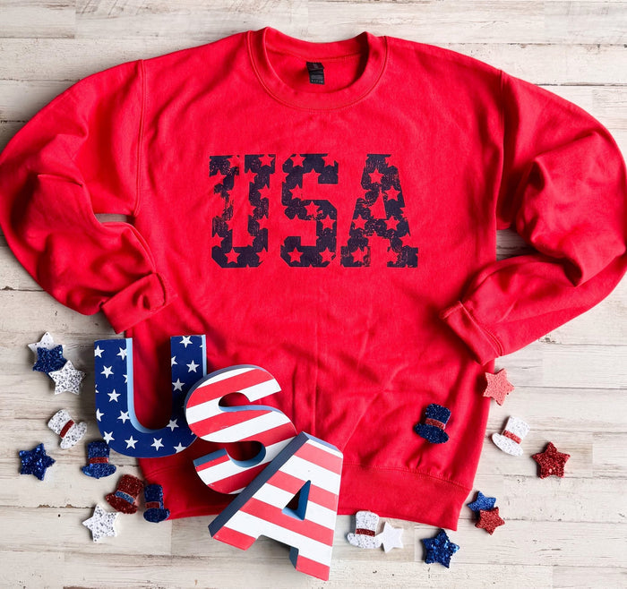 PREORDER: USA Star Sweatshirt