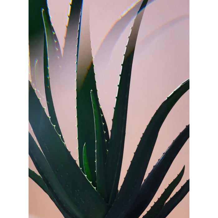 RETAIL $97 Twentynine Palms Mira Luna Eye Cream*Prickly Pear*Retinol*NEW in BOX