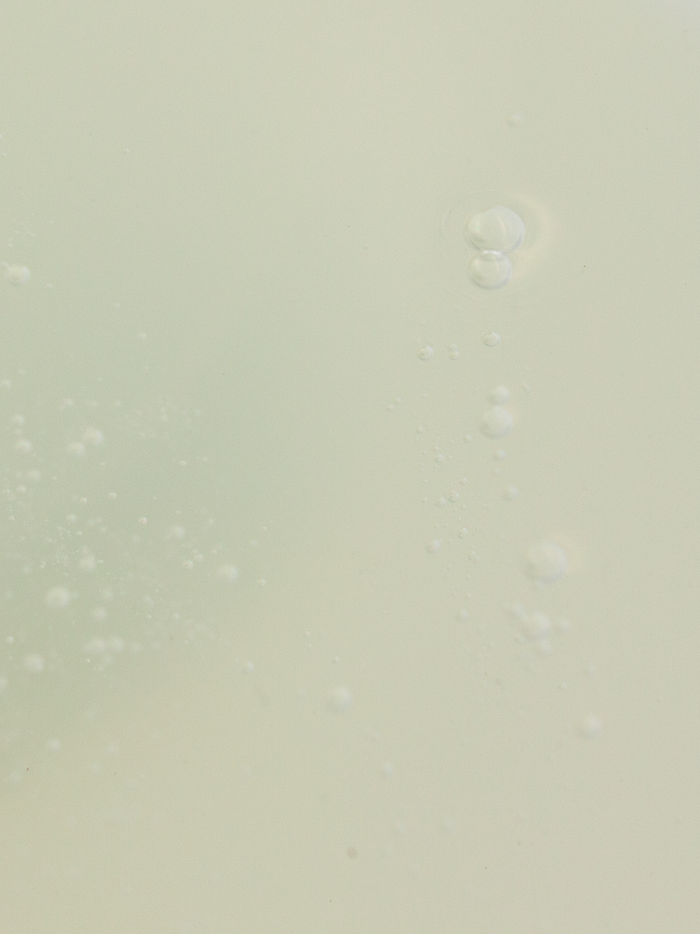 Unscented Daily Face Wash