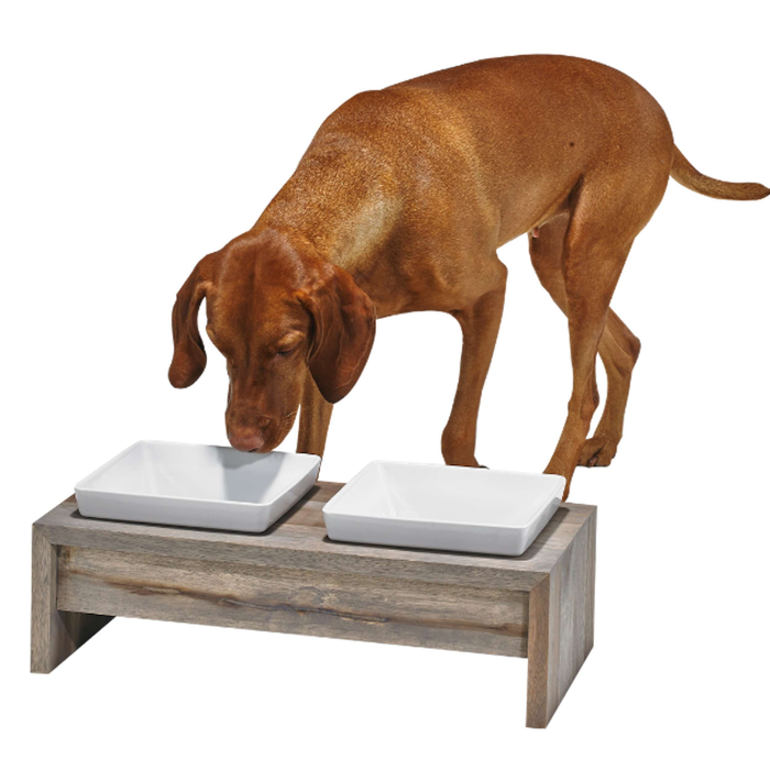 DOG-BOWL-FOSSIL-ARTISAN-DOUBLE-FEEDER