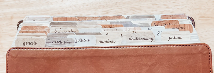BABE Bible Tabs