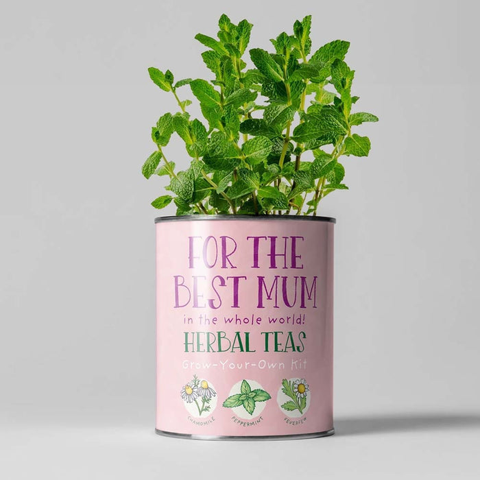 Best Mum Herbal Teas Growing Kit by The Plant Gift Co. &Keep