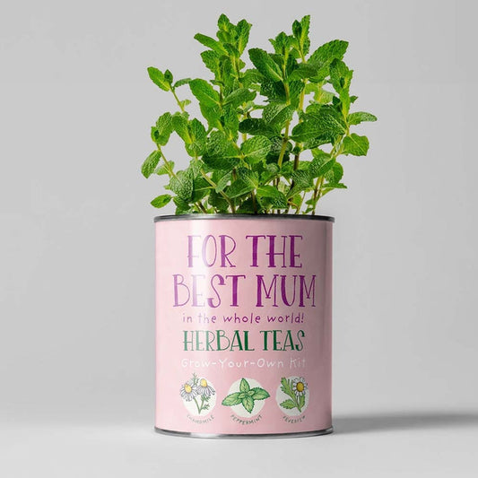 Best Mum Herbal Teas Growing Kit by The Plant Gift Co. &Keep