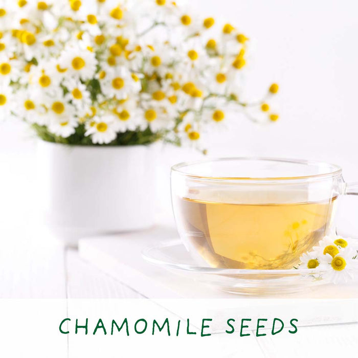 Best Mum Herbal Teas Growing Kit by The Plant Gift Co. &Keep
