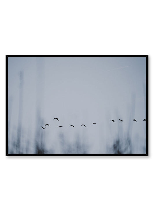 Minimalist design poster by Opposite Wall with Flying Bird Formation photography