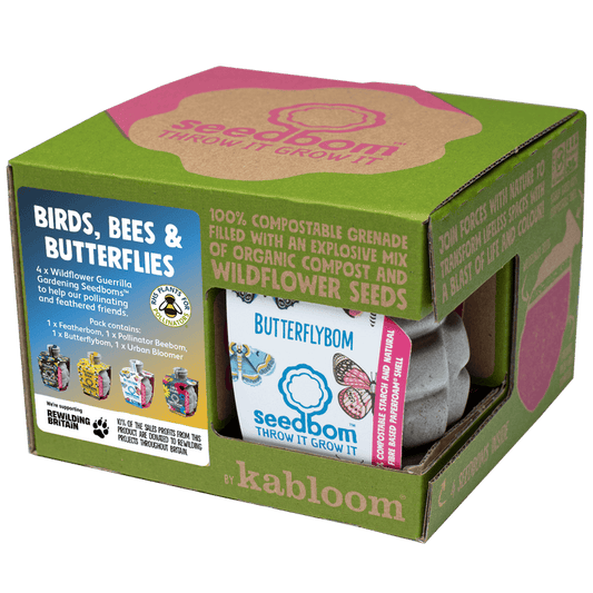 Birds, Bees & Butterflies Seedbom Gift Box