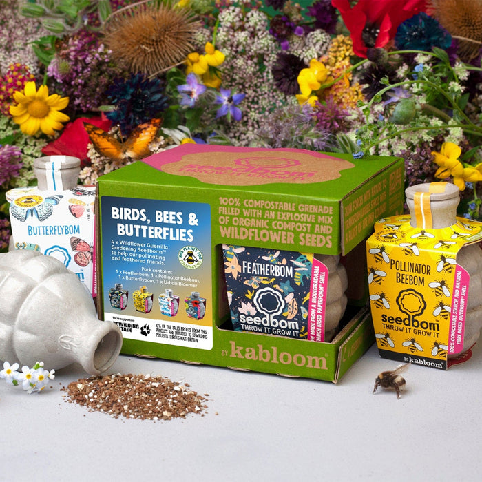 Birds, Bees & Butterflies Seedbom Gift Box