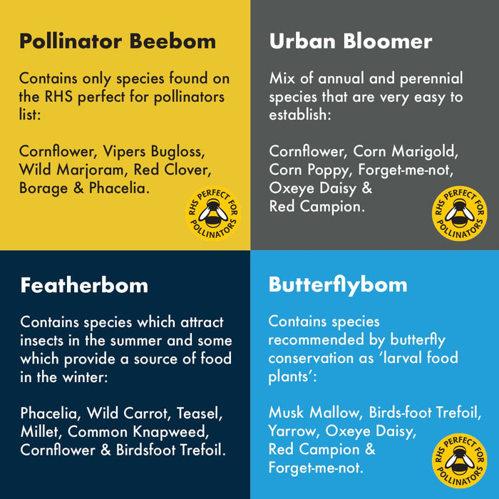 Birds, Bees & Butterflies Seedbom Gift Box