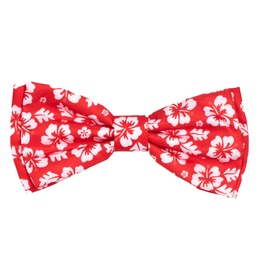 ALOHA-CORAL-DOG-BOW-TIE