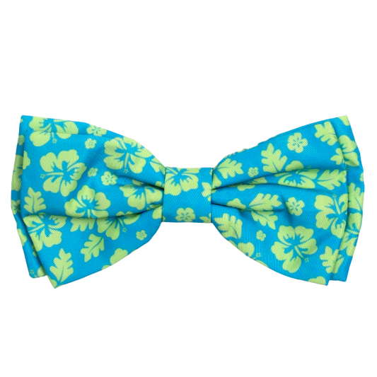 ALOHA-TURQUOISE-DOG-BOW-TIE