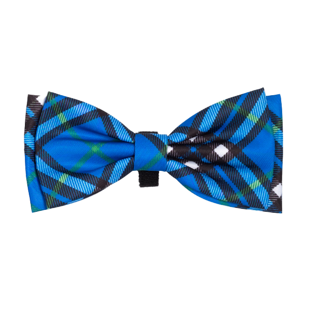 BIAS-PLAID-BLUE-DOG-BOW-TIE