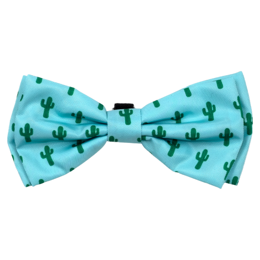 CACTUS-DOG-BOW-TIE