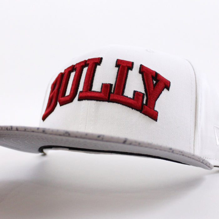 Bully New Era 59Fifty Fitted Hat (Glacial White Cement Speckled Air Jordan IV V White Cement OG Gray Under Brim)