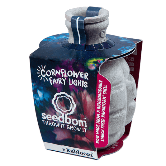 Cornflower Fairy Lights Seedbom