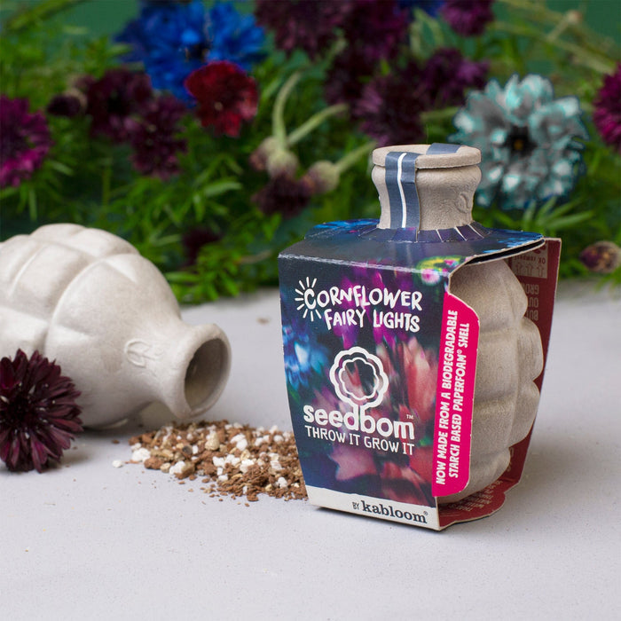 Cornflower Fairy Lights Seedbom