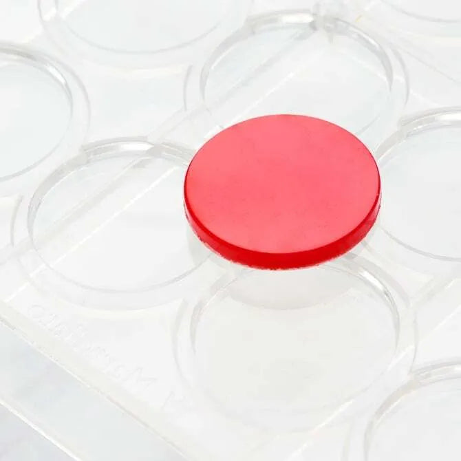Discs 30mm Chocolarte Mold - 24 Forms