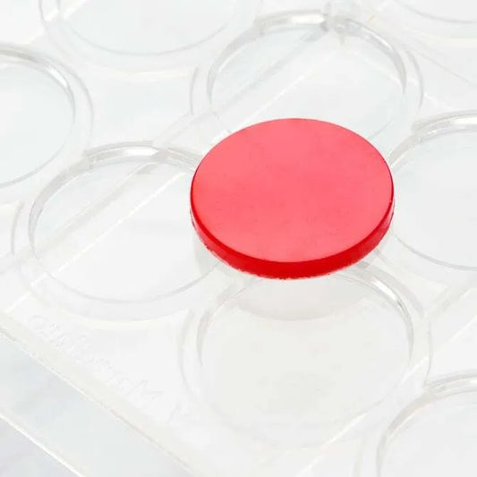 Discs 30mm Chocolarte Mold - 24 Forms