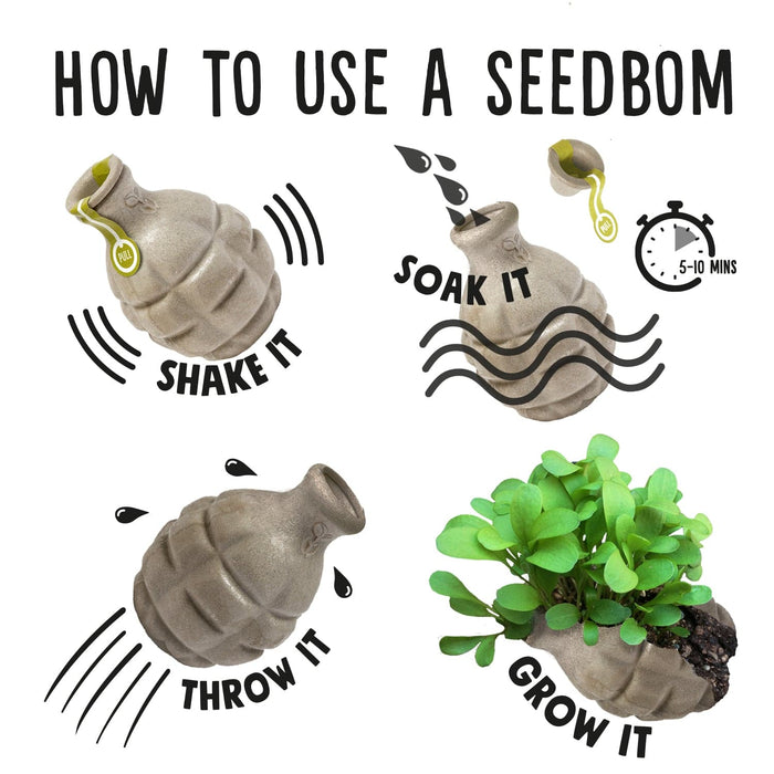 Foragebom Seedbom