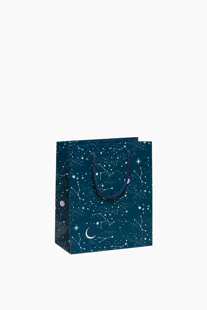 Gift Bags | Medium