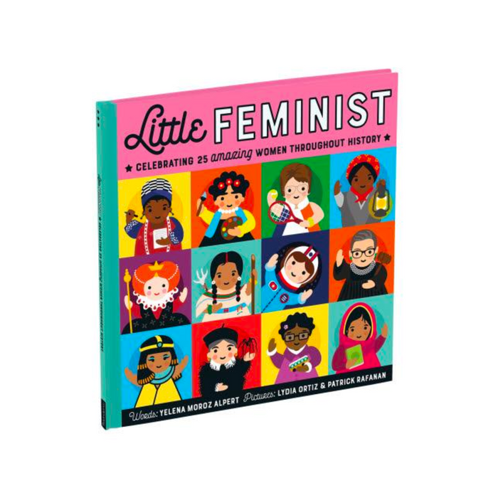 Little Feminist Picture Book