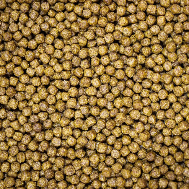 Medikoi Probiotic Growth Junior 3mm - 5kg