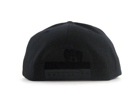 Mexico Crest Snapback Hat (Black Green Under Brim)