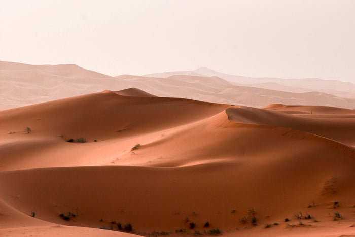 Morocco Sahara 2