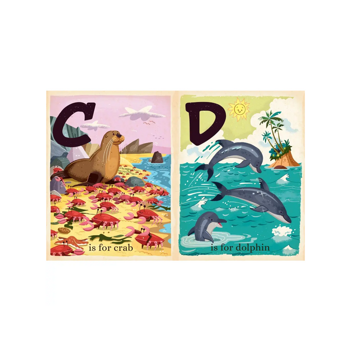 O Is For Ocean Book