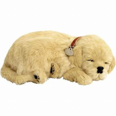 Perfect Petzzz Golden Retriever Puppy