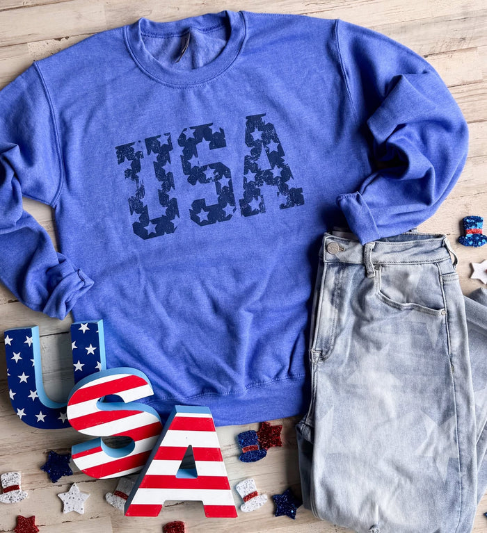 PREORDER: USA Star Sweatshirt