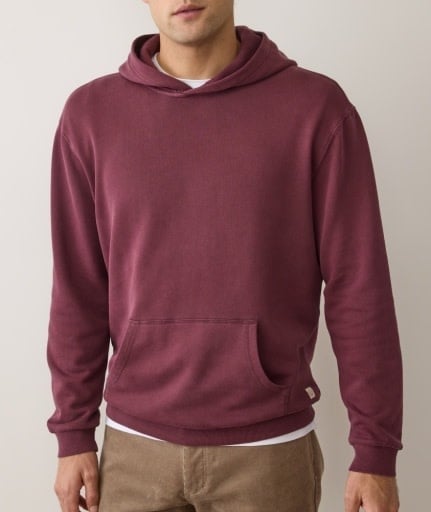 Relaxed Cloud 9 Fleece Hoodie Fig