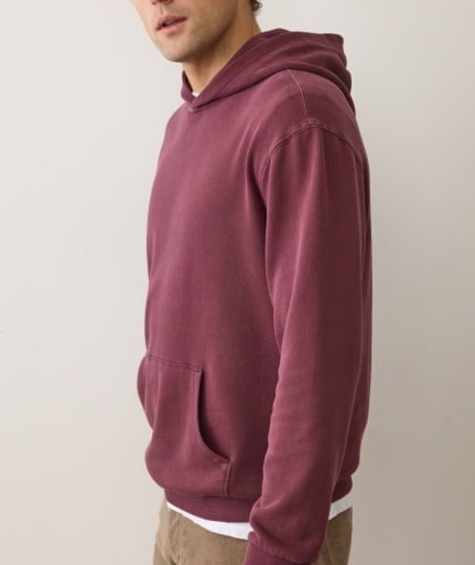 Relaxed Cloud 9 Fleece Hoodie Fig