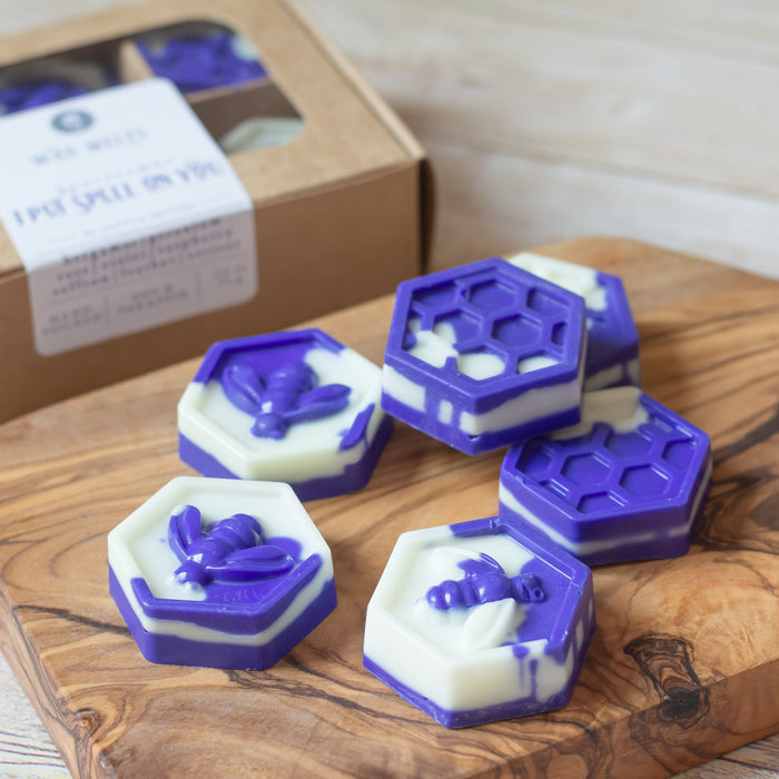Scented Wax Melts Honeycombs I put a spell on you - Set of 6 - Jarful House