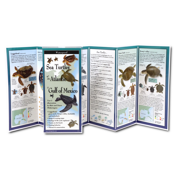 Sea Turtles of the Atlantic and the Gulf of Mexico - Folding Guide