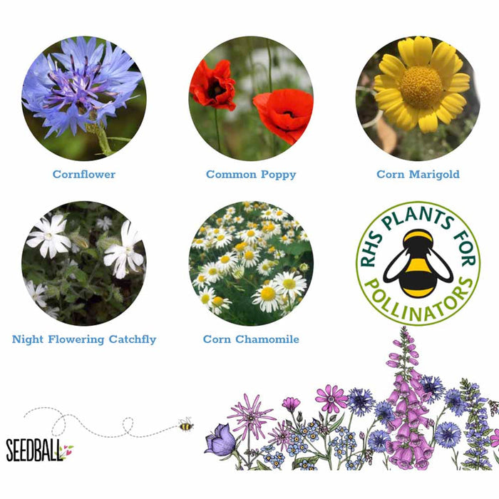 Seedball Wildflower Grab Bag - Annuals Mix &Keep