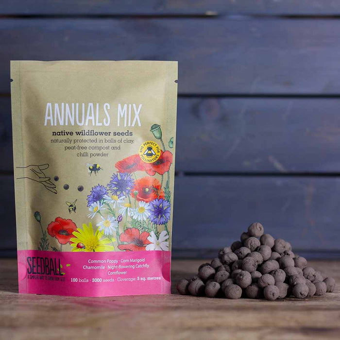 Seedball Wildflower Grab Bag - Annuals Mix &Keep