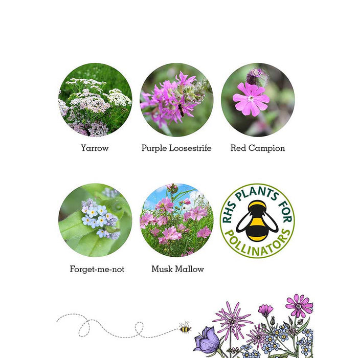 Seedball Wildflower Grab Bag - Butterfly Mix &Keep