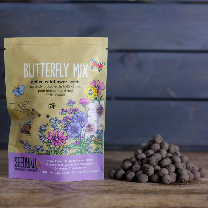Seedball Wildflower Grab Bag - Butterfly Mix &Keep