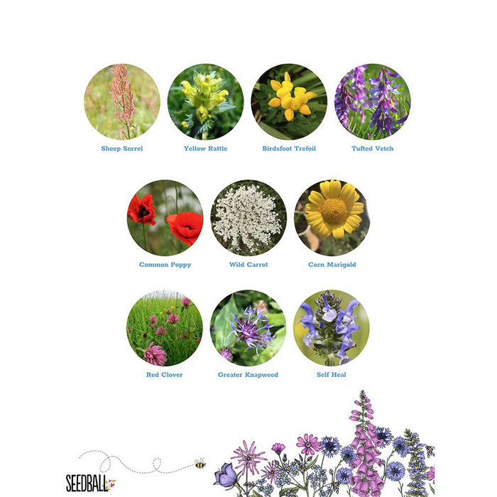 Seedball Wildflower Grab Bag - Wildlife Mix &Keep