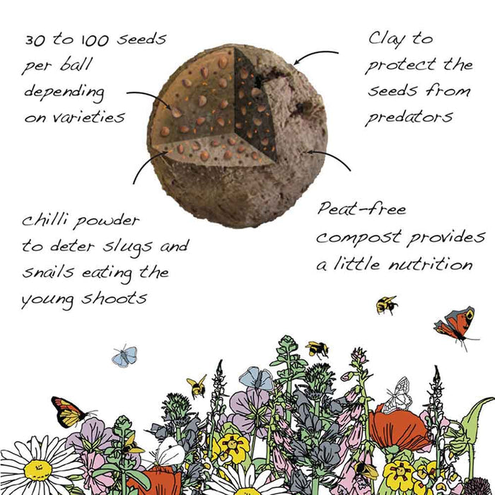 Seedball Wildflower Grab Bag - Wildlife Mix &Keep