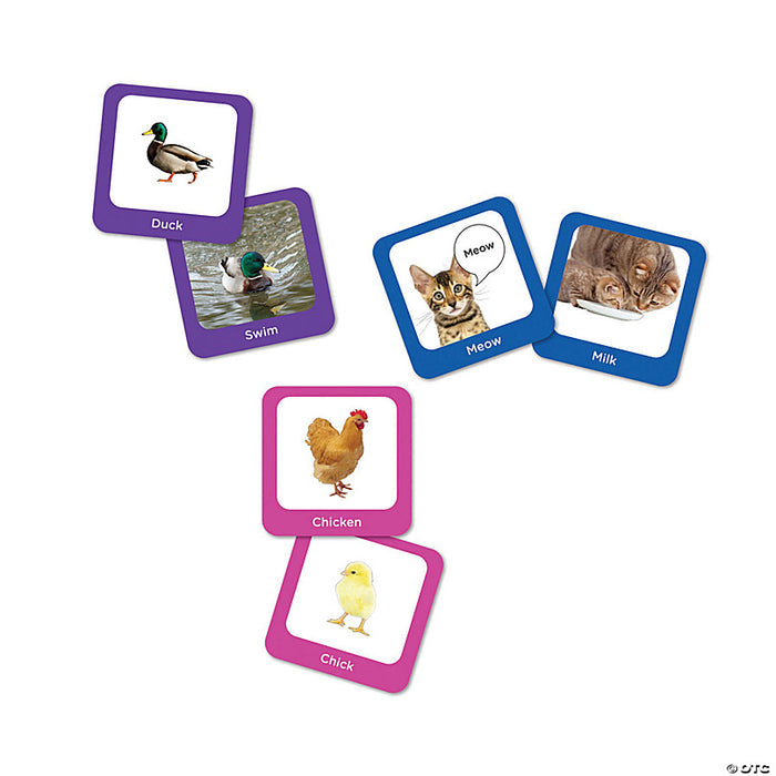 Seek A Boo Mix & Match Memory Game