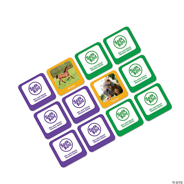 Seek A Boo Mix & Match Memory Game