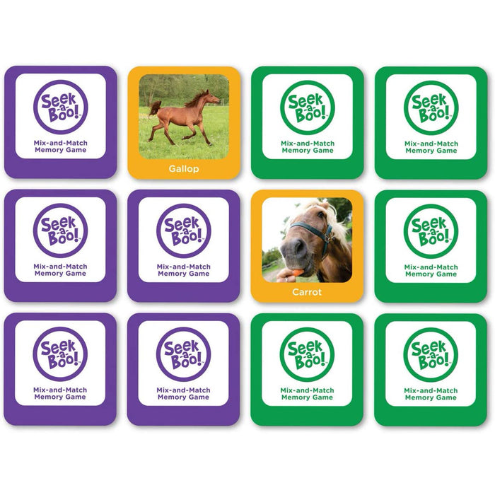 Seek A Boo Mix & Match Memory Game