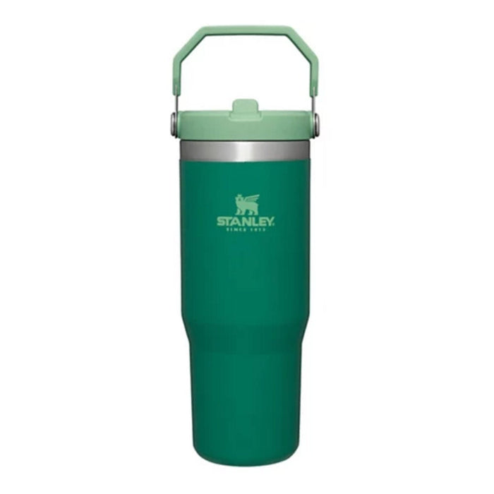 Stanley The IceFlow Flip Straw 30oz Tumbler Water Bottles & Jugs Stanley Alpine OS