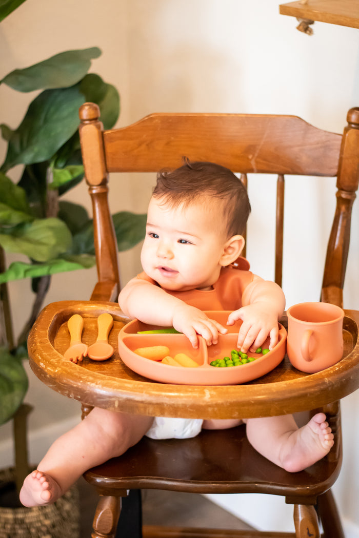 Toddler Silicone Feeding Set [Terracotta]